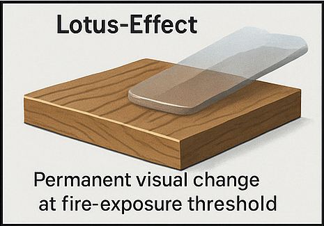 Lotus Effect Icon